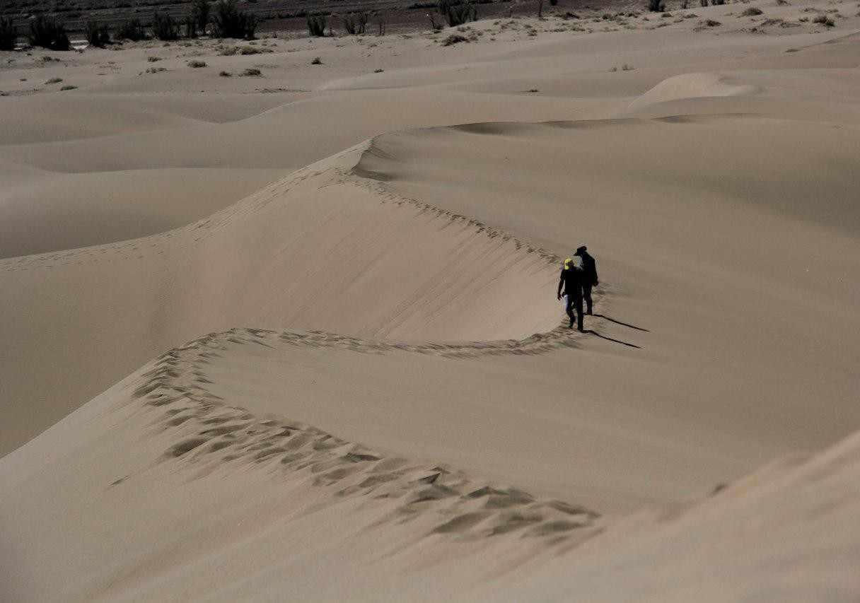 کویر کاراکال، زیستگاه گربه سان زیبای ایرانی