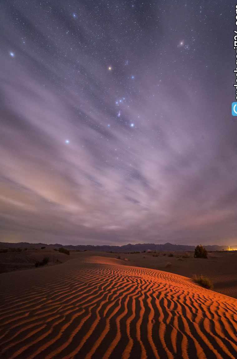 کویر کاراکال، زیستگاه گربه سان زیبای ایرانی