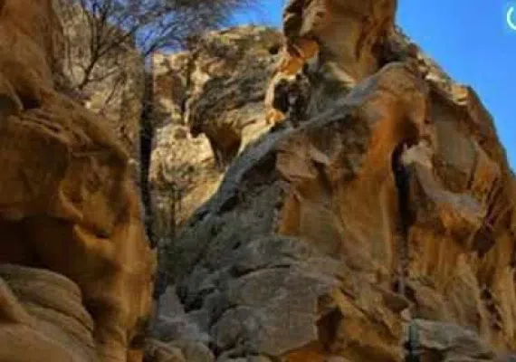 تنگه عالی محمد