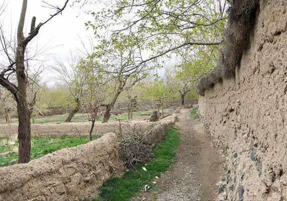 نوفرست