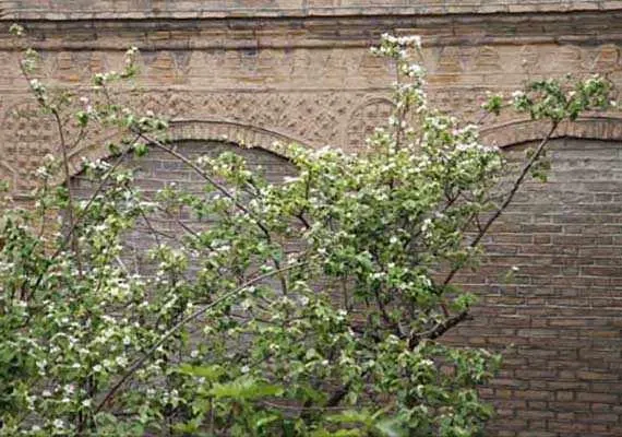 خانه پردلی