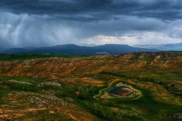 چمن متحرک چملی