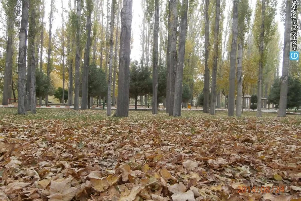 پارک ملت (باغ میکائیلی) مهاباد