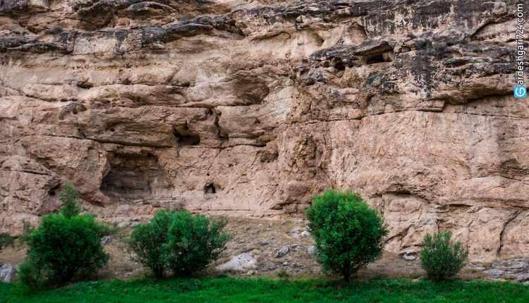 دره رند، سودرسی