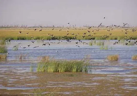 دریاچه قوپی باباعلی