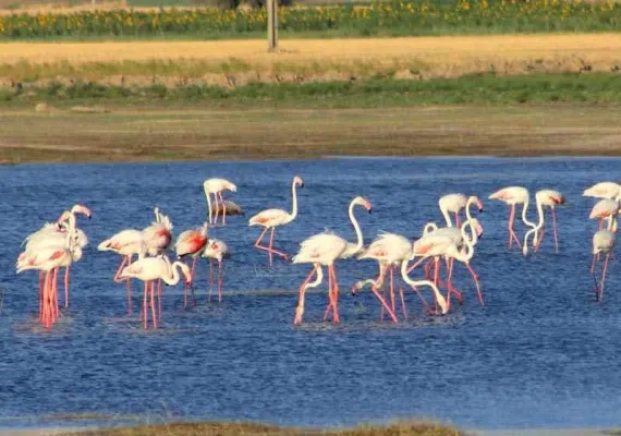 تالاب آق گل ماکو