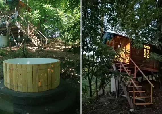 کلبه درختی در جنگل هیرکانی