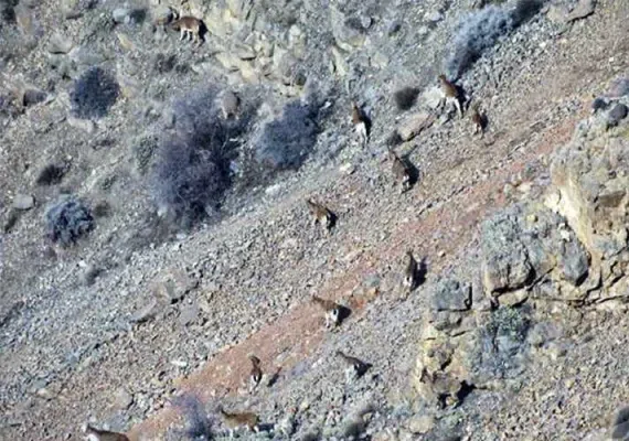 منطقه حفاظت شده مراکان