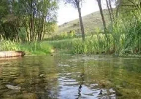 منطقه نمونه گردشگری سقزچی