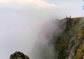 جنگل فندقلو