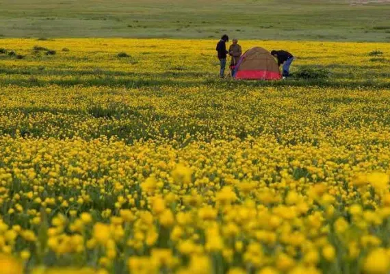 دریاچه نئور اردبیل