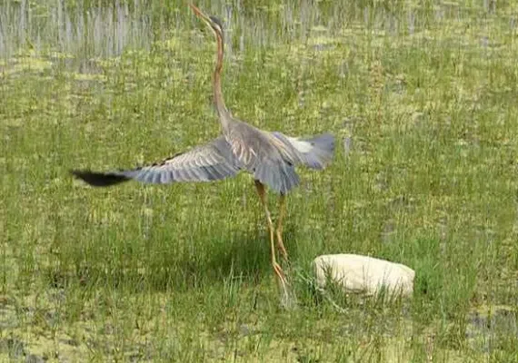 تالاب آق گل ماکو