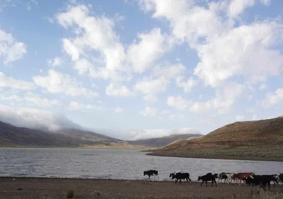 دریاچه نئور اردبیل