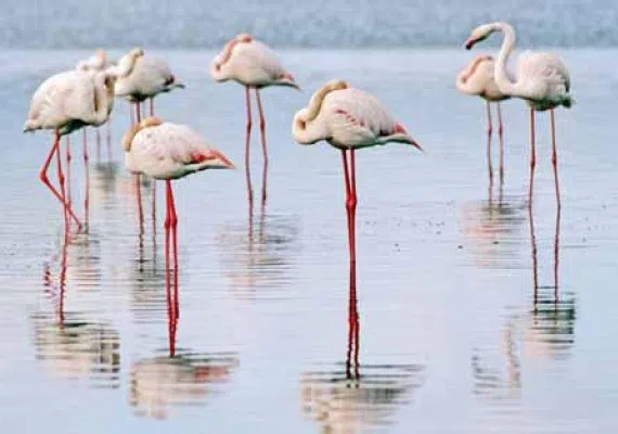 تالاب آق گل ماکو