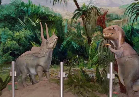 موزه تاریخ طبیعی قم