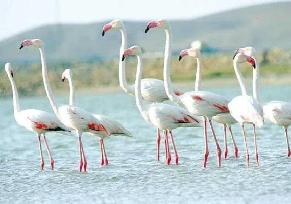 تالاب آق گل ماکو