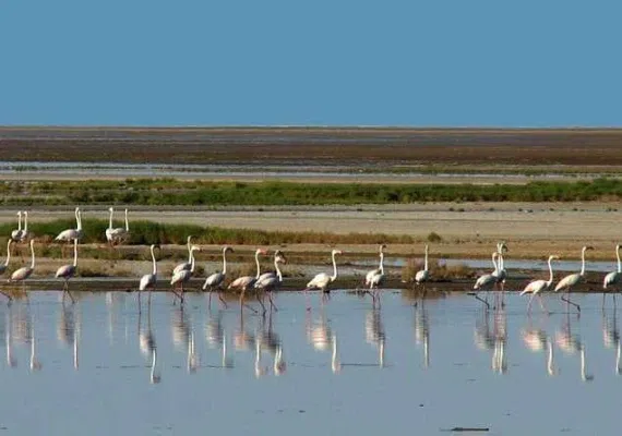 تالاب آق گل ماکو