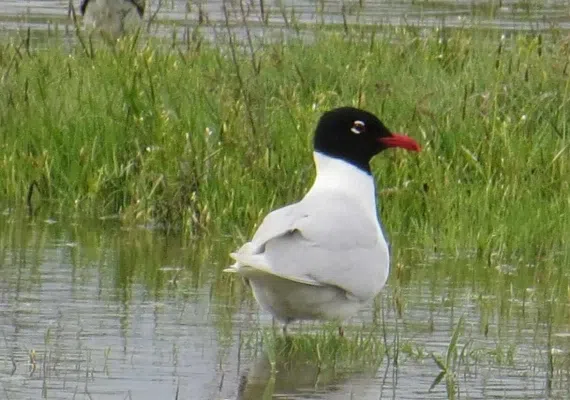 تالاب درگه سنگی