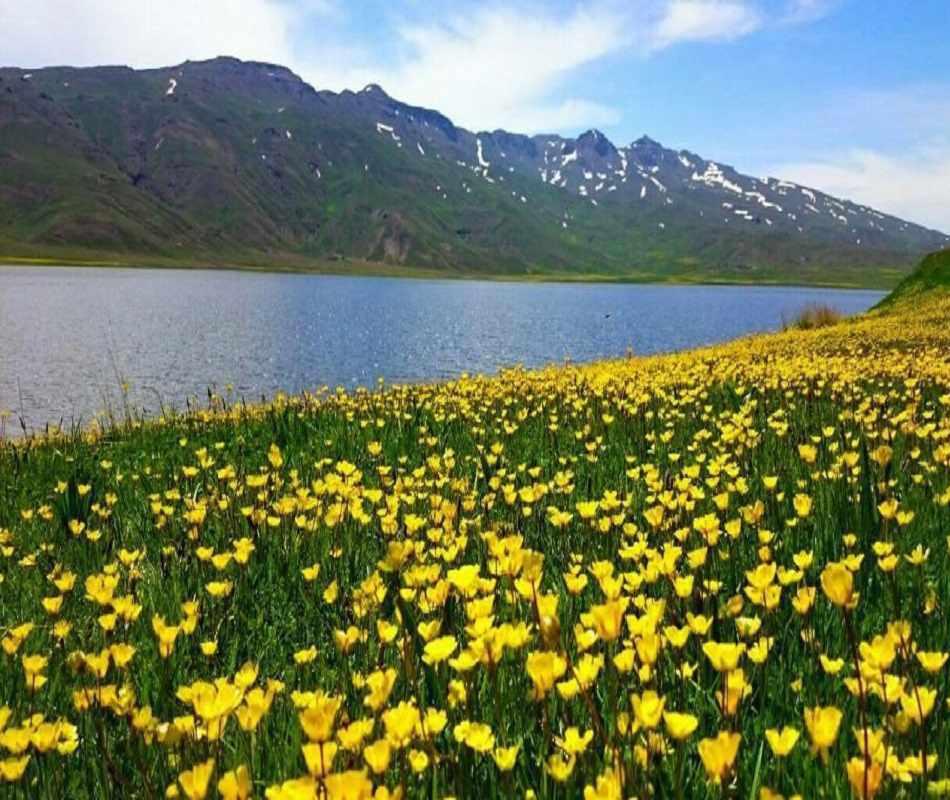 دریاچه نئور اردبیل