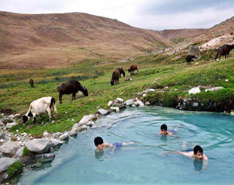 منطقه سردابه