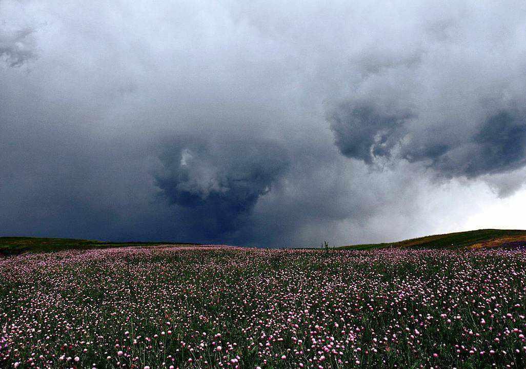 منطقه سردابه