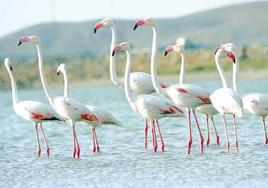 تالاب آق گل ماکو