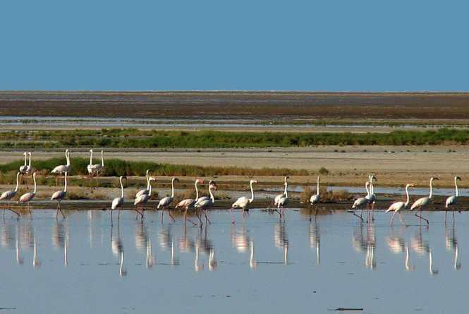 تالاب آق گل ماکو