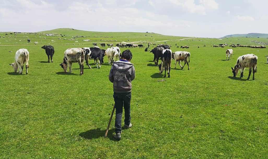 آبشار سردابه