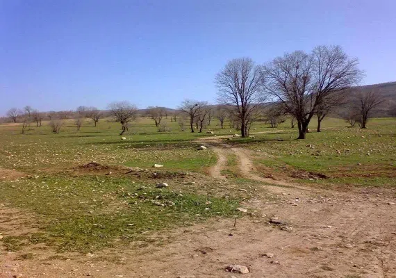 تفرجگاه شوراب