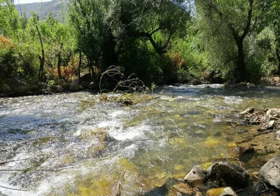 رودخانه کهمان الشتر