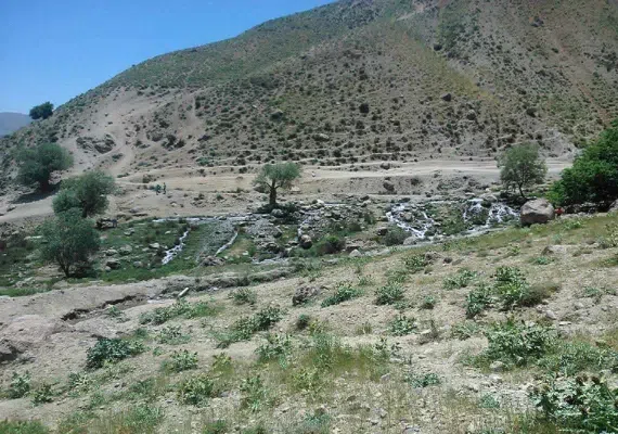 چشمه ونایی