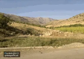 تفرجگاه تخت شاه
