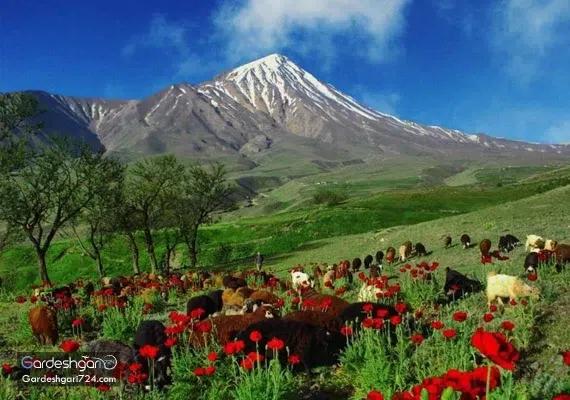 قله دماوند و مسیر های صعود به قله دماوند