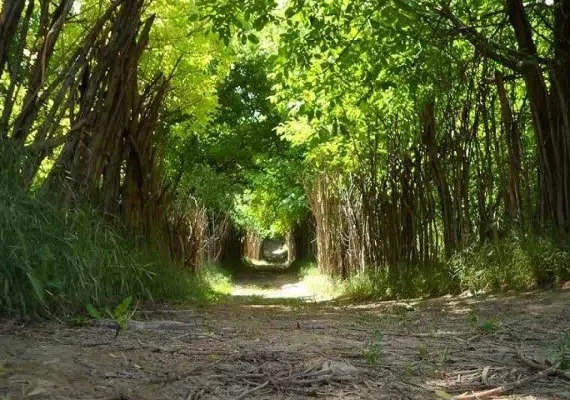 روستای بانقلان