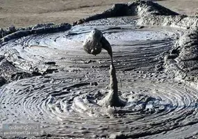 گل فشان پزم، محل درمان دردهای عضلانی و بیماری های پوستی