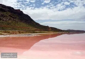 لیپار، دلربای صورتی ایران