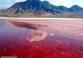 لیپار، دلربای صورتی ایران