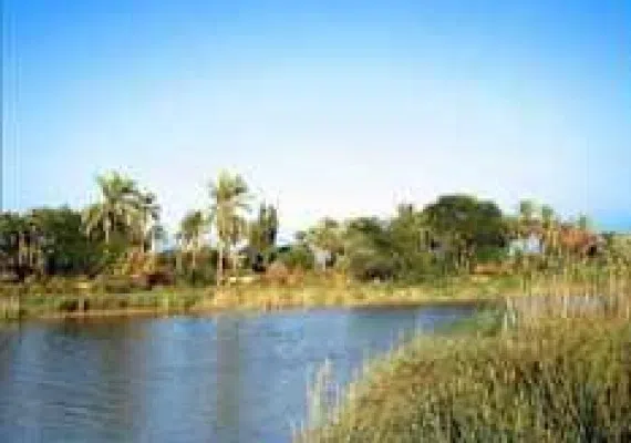 جزیره مینو