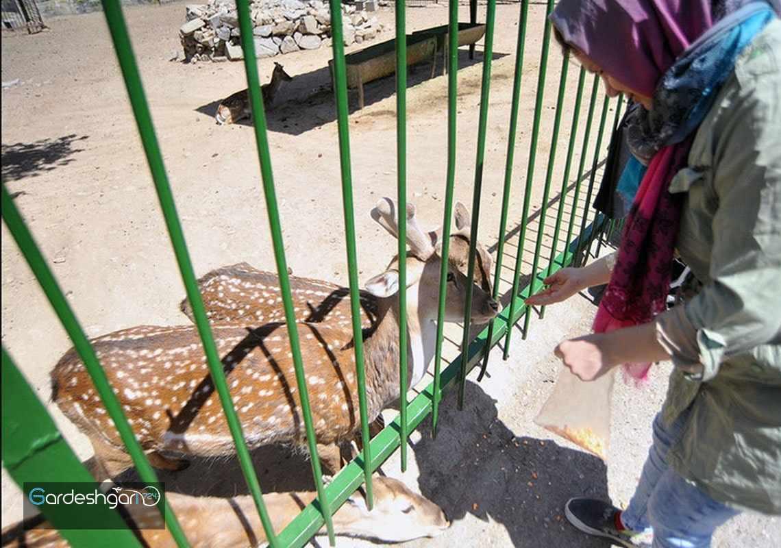 باغ وحش وکیل آباد مشهد