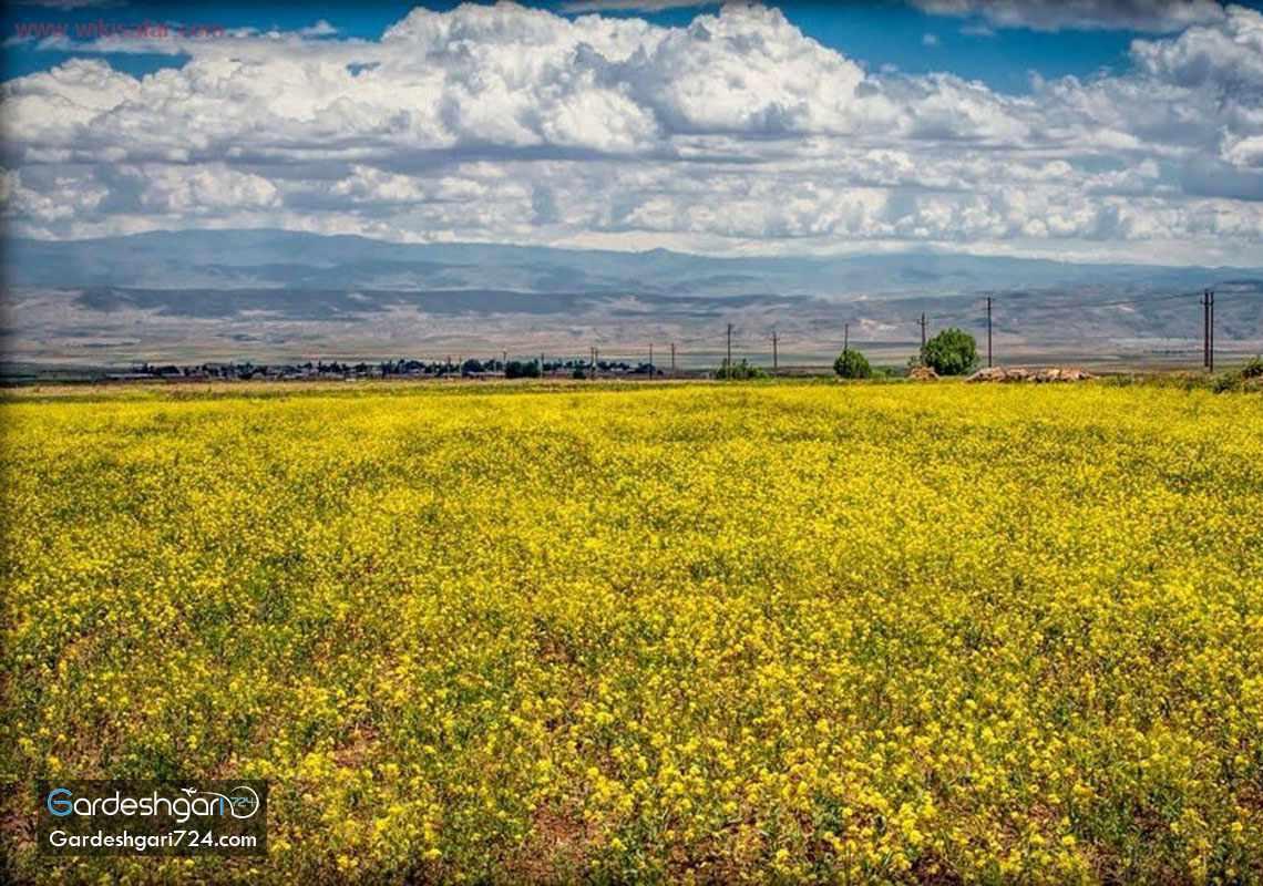 آبشار گورگور