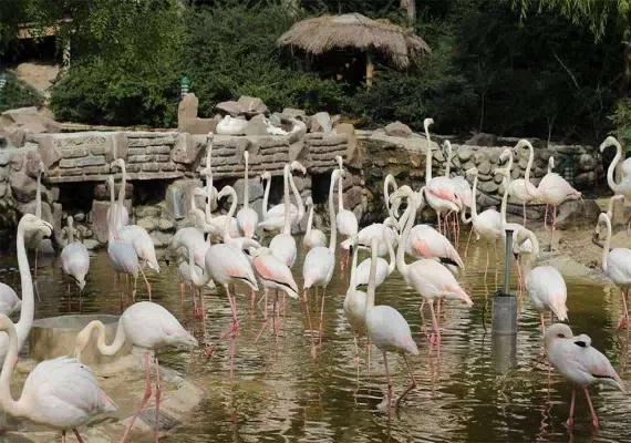 باغ پرندگان تهران