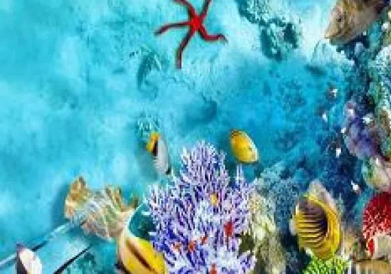 آکواریوم اصفهان