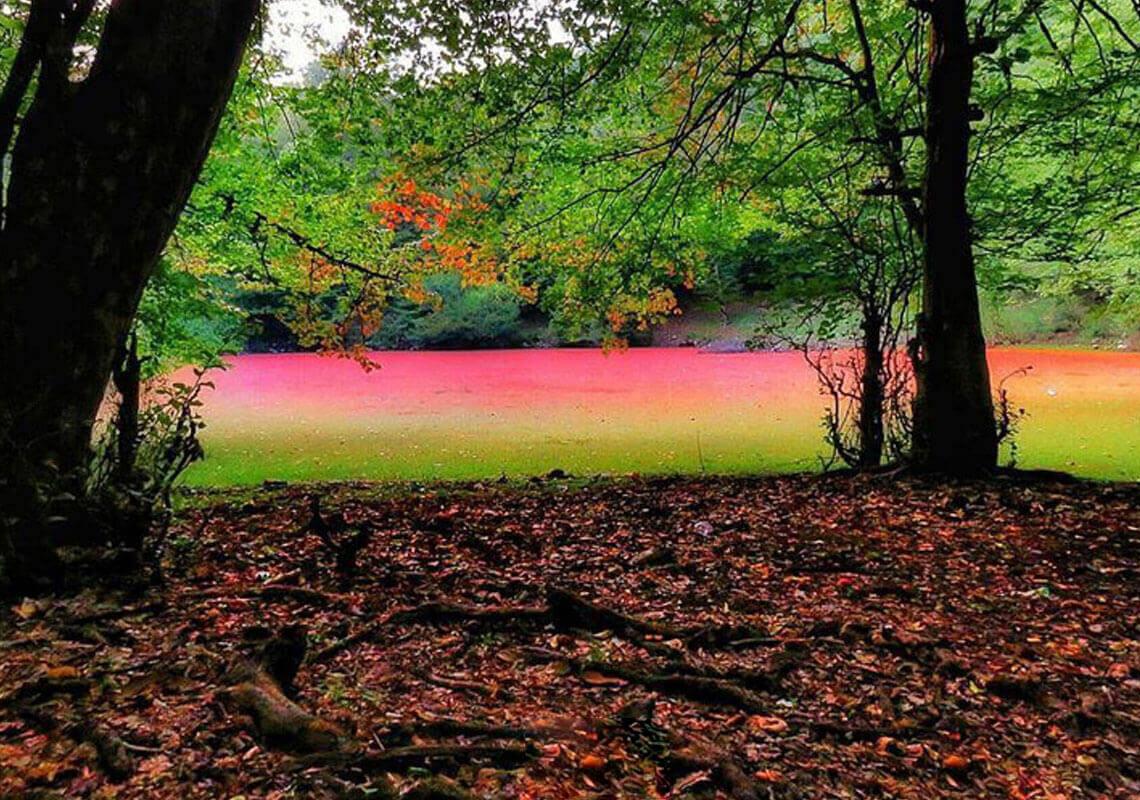 مرداب هسل کجاست؟