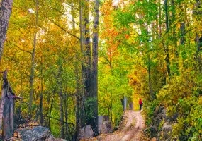 روستای آهار