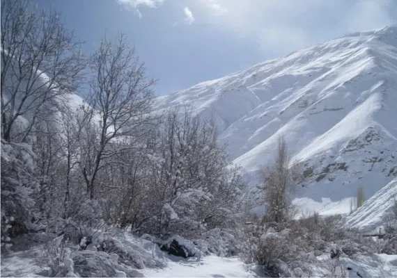 روستای آهار