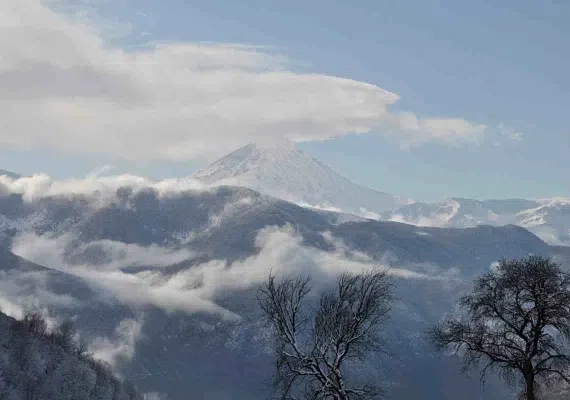 جنگل الیمستان